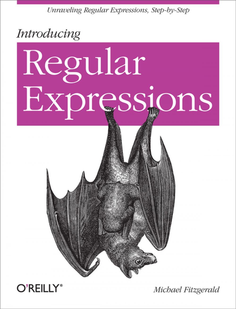 Big bigCover of Introducing Regular Expressions