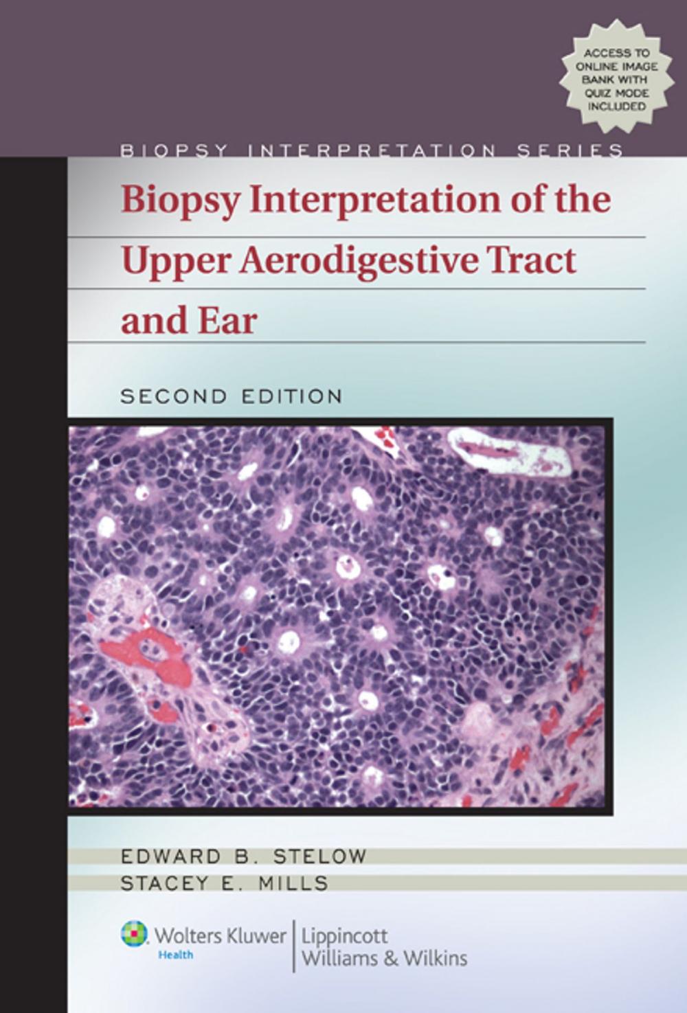 Big bigCover of Biopsy Interpretation of the Upper Aerodigestive Tract and Ear