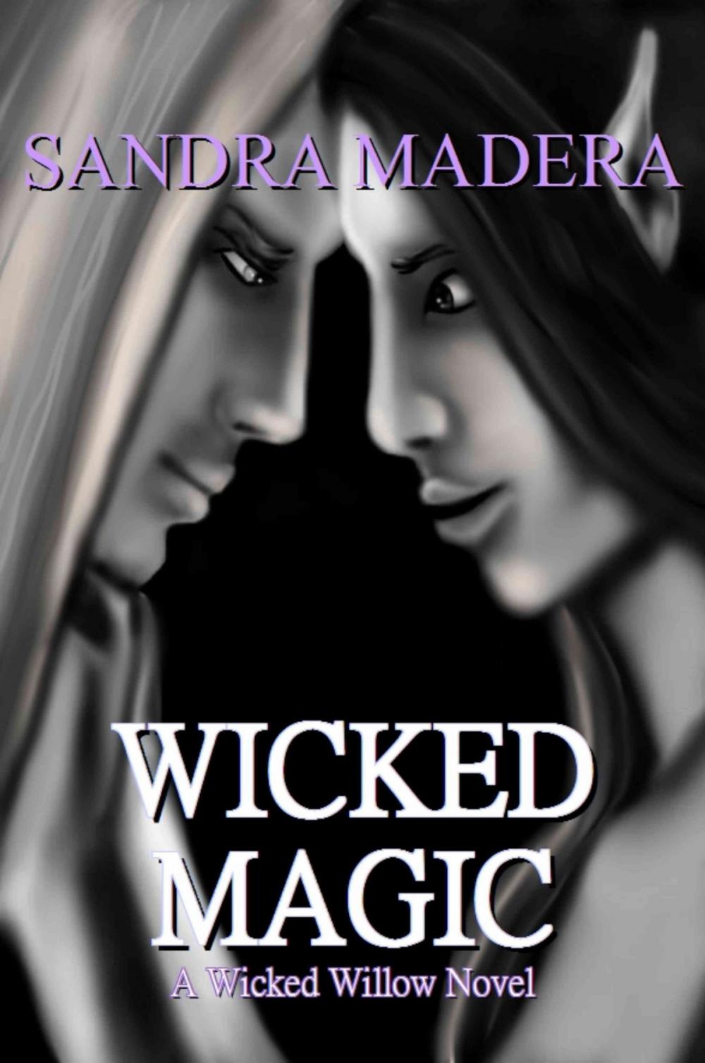 Big bigCover of Wicked Magic