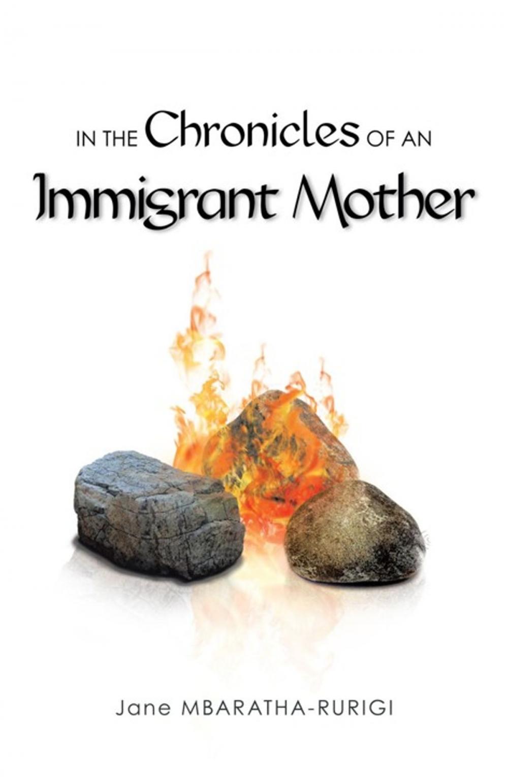 Big bigCover of In the Chronicles of an Immigrant Mother