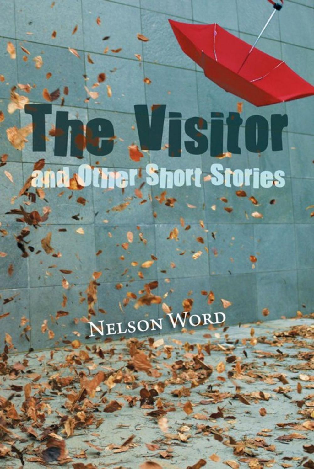 Big bigCover of The Visitor and Other Short Stories