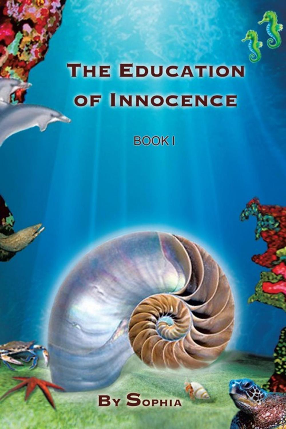 Big bigCover of The Education of Innocence