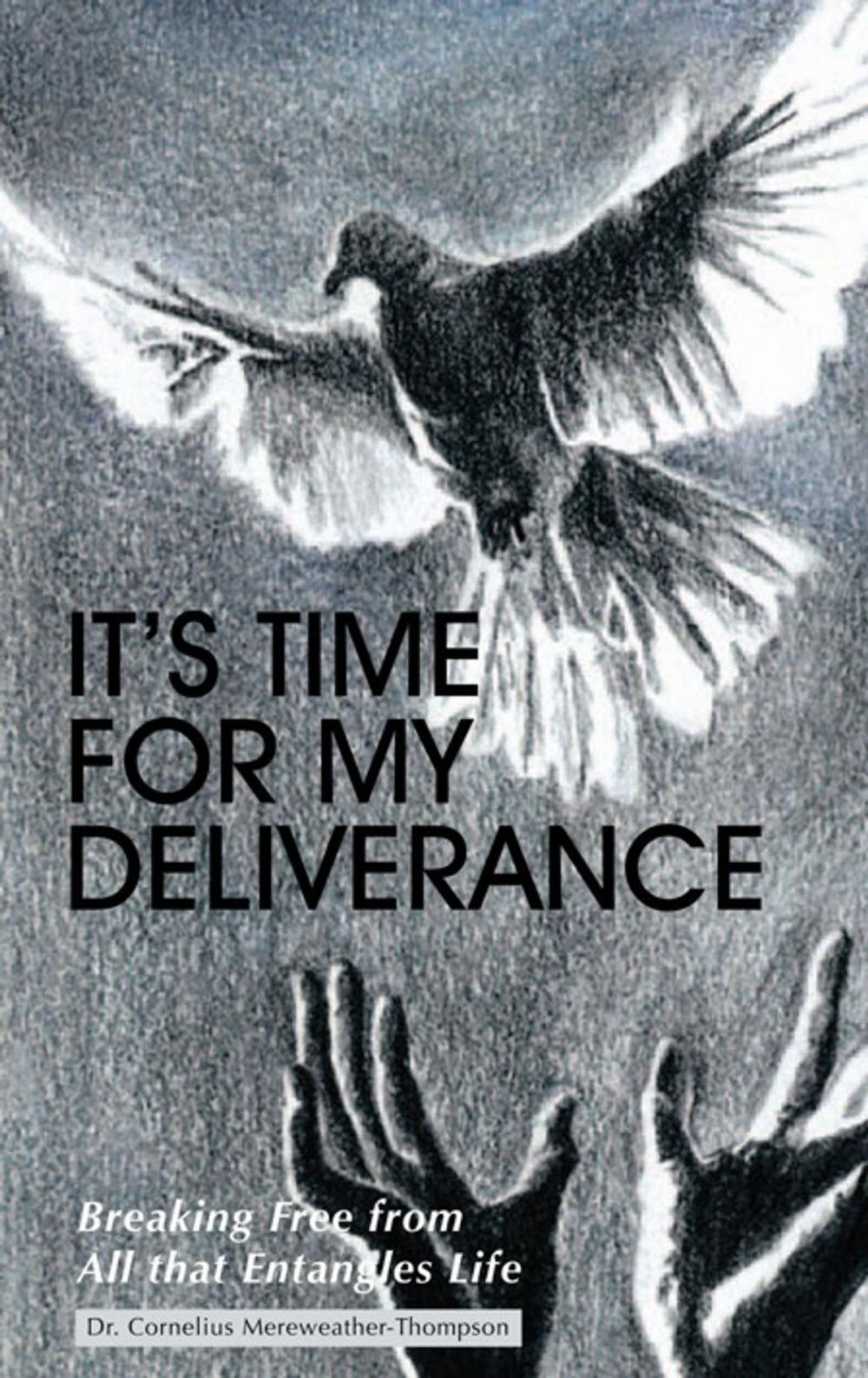 Big bigCover of It's Time for My Deliverance