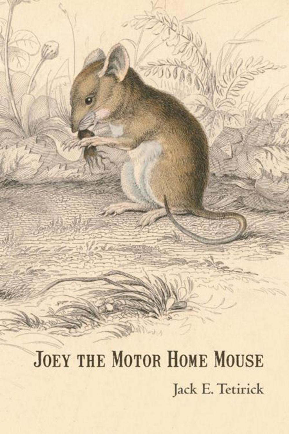 Big bigCover of Joey the Motor Home Mouse