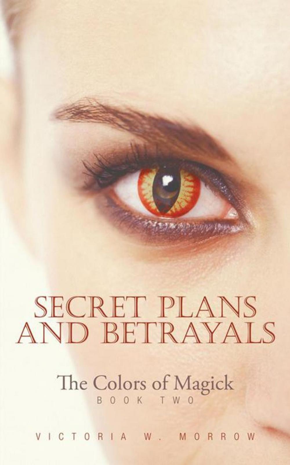 Big bigCover of Secret Plans and Betrayals