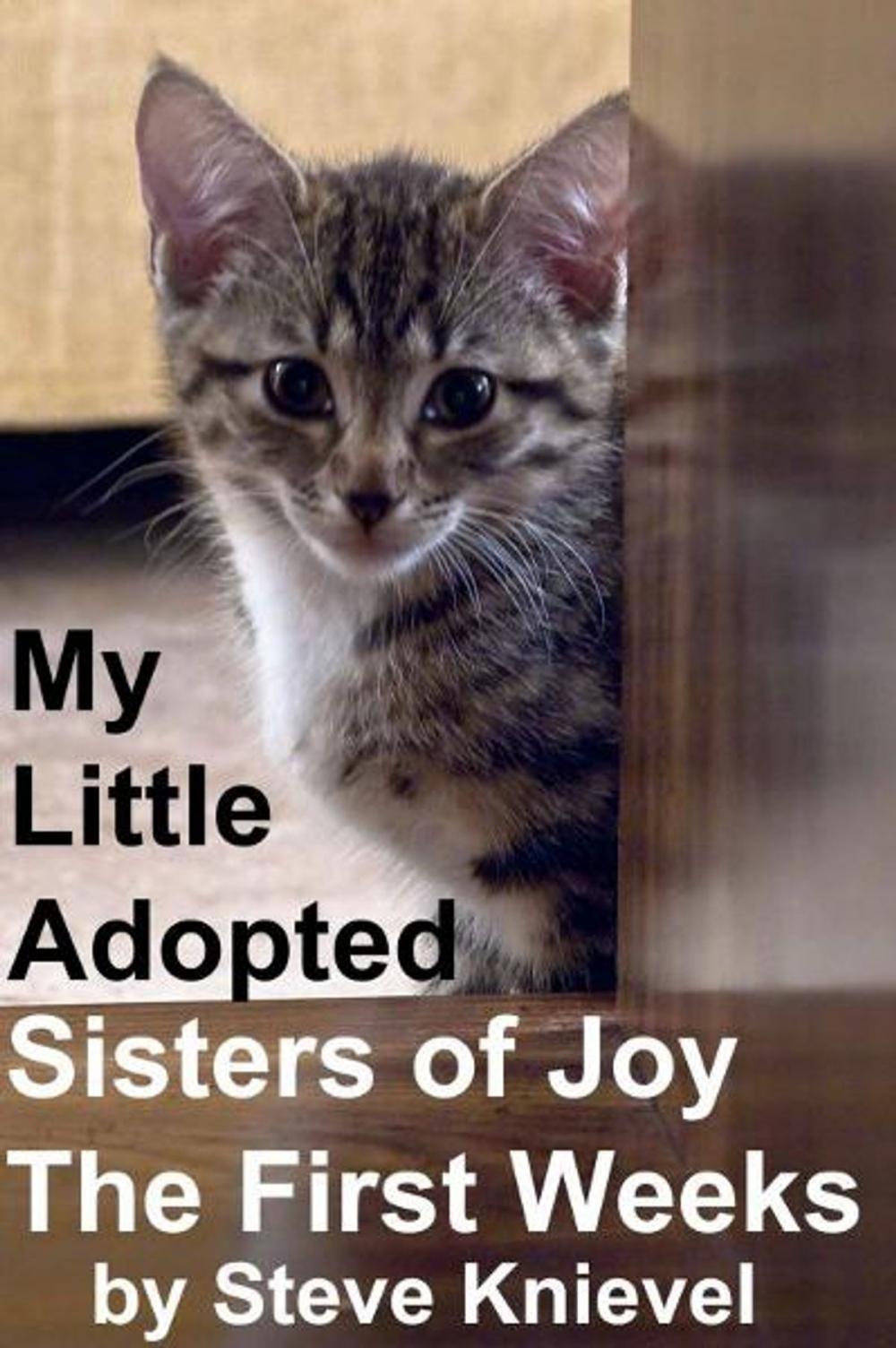 Big bigCover of My Little Adopted Sisters of Joy The first Weeks