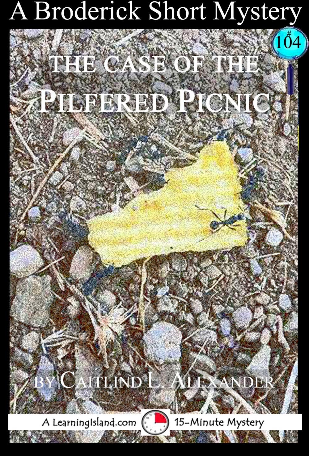 Big bigCover of The Case of the Pilfered Picnic: A 15-Minute Broderick Mystery