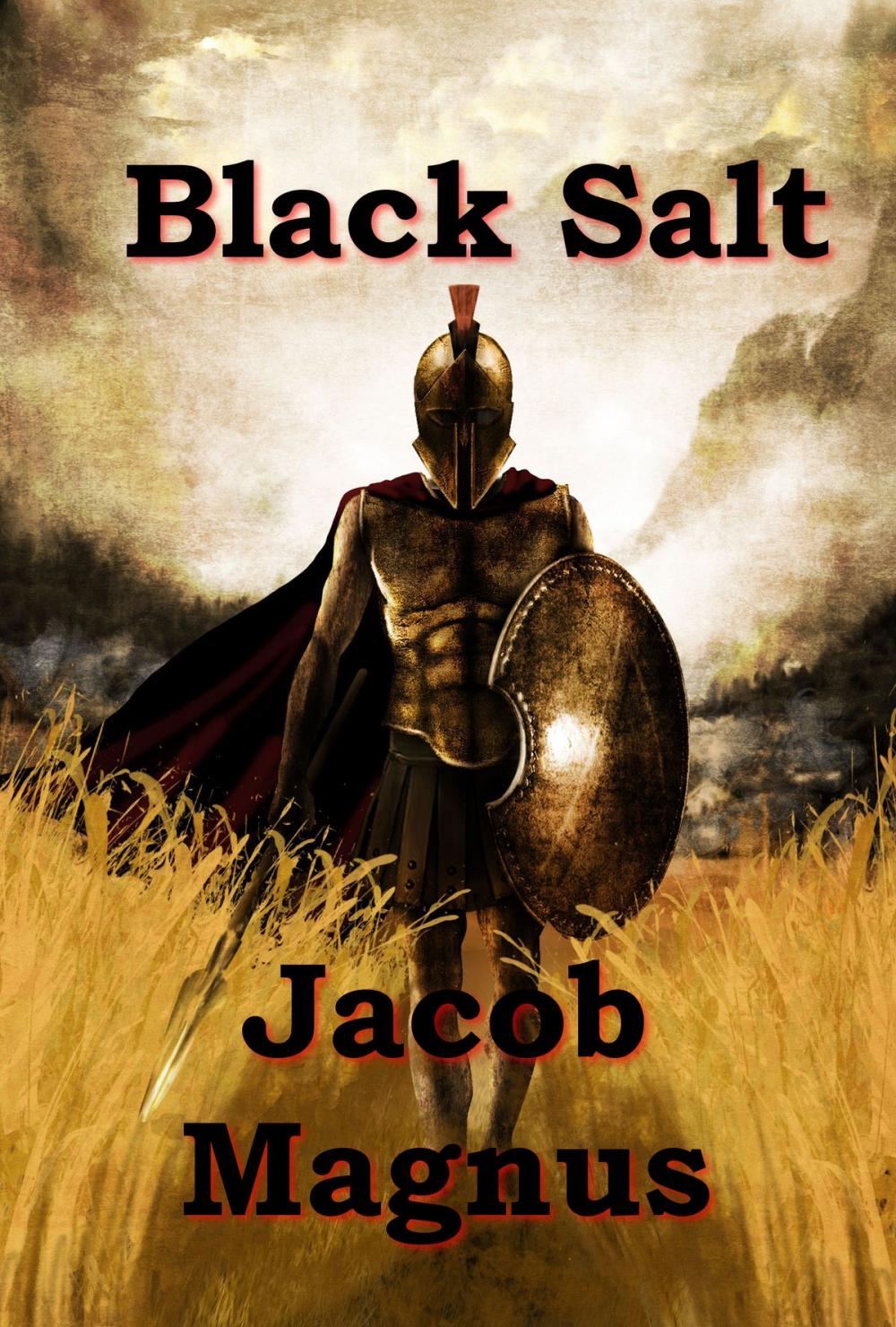 Big bigCover of Black Salt