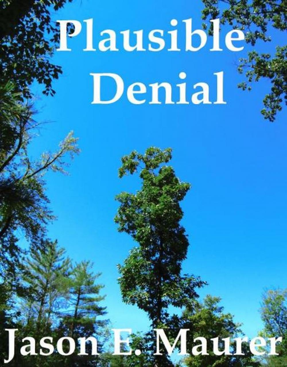 Big bigCover of Plausible Denial