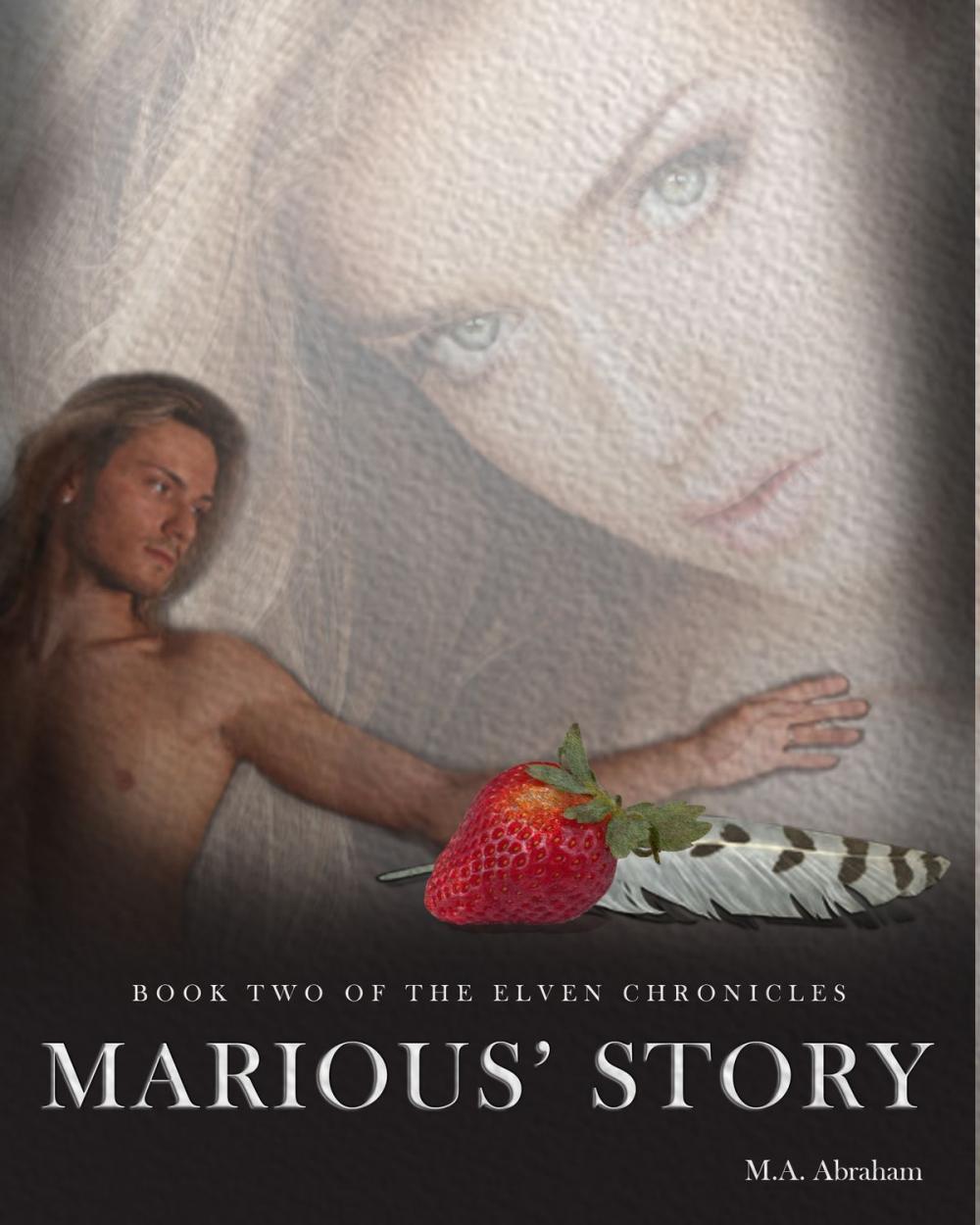 Big bigCover of Marious' Story