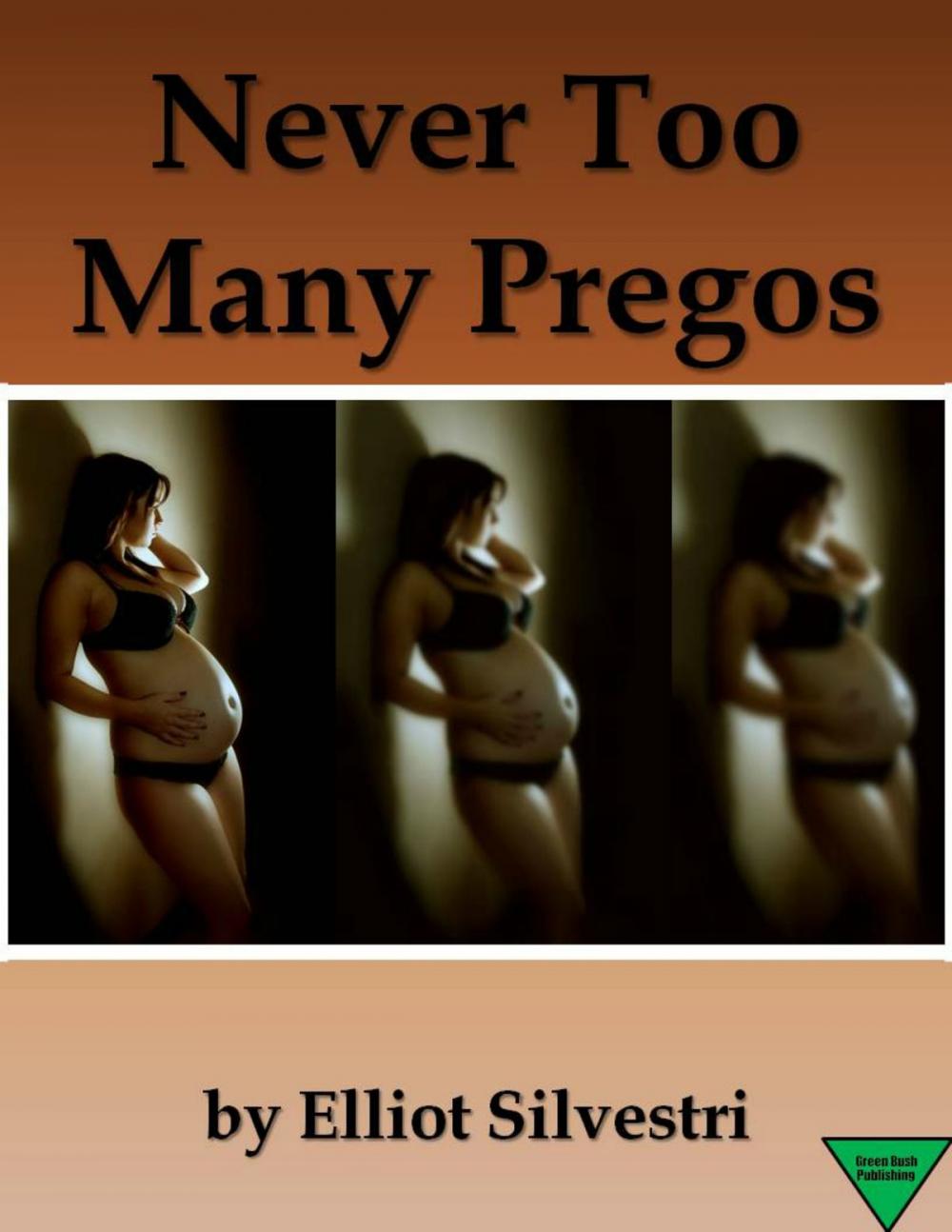 Big bigCover of Never Too Many Pregos