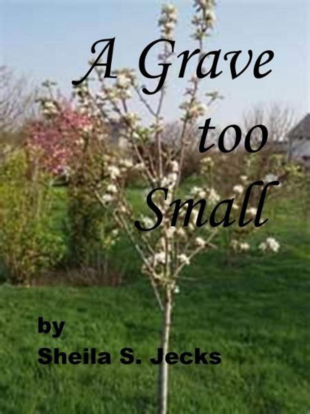 Big bigCover of A Grave Too Small