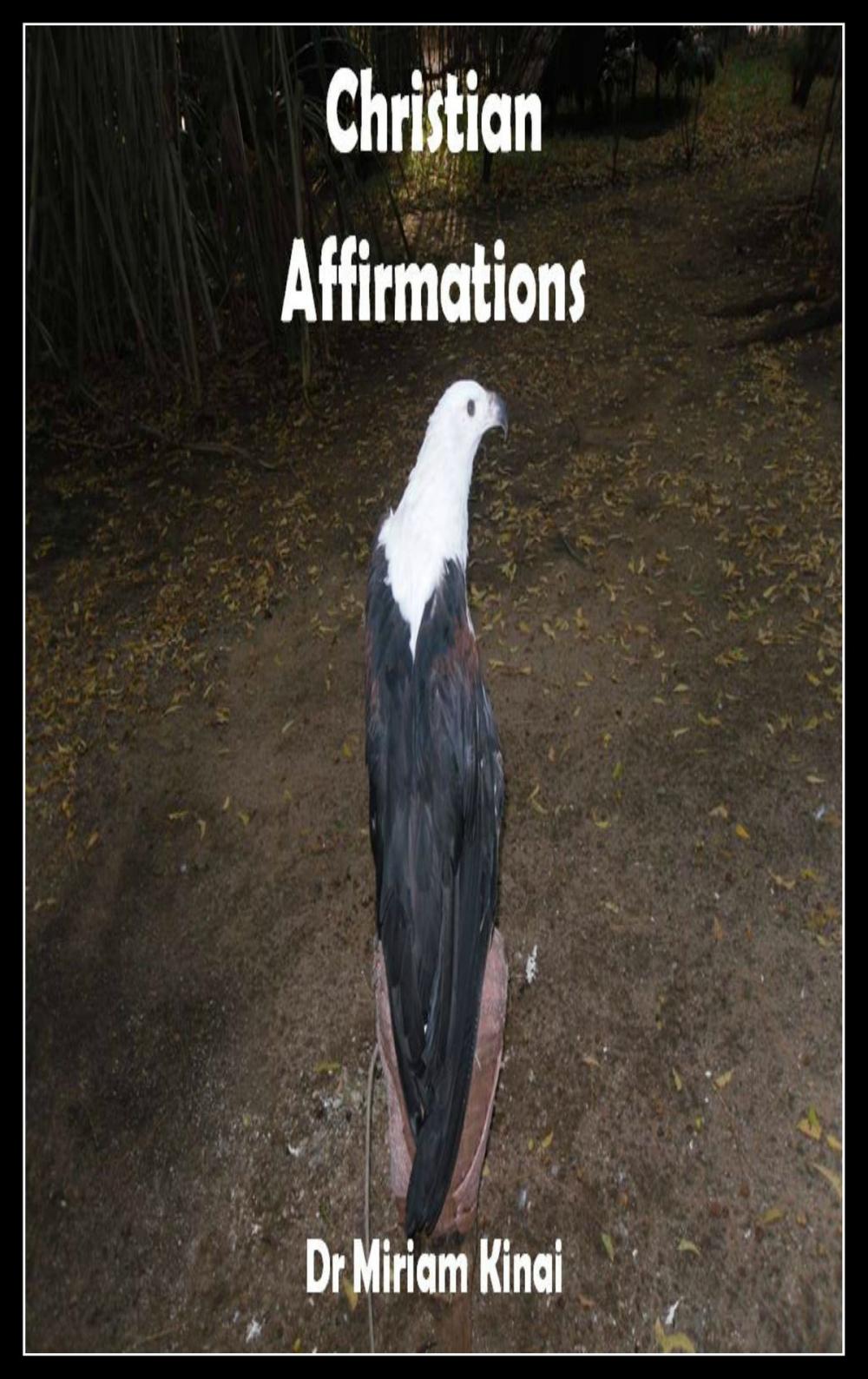 Big bigCover of Christian Affirmations