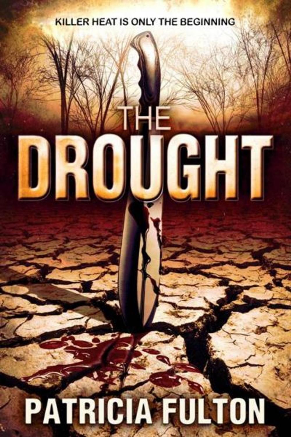 Big bigCover of The Drought