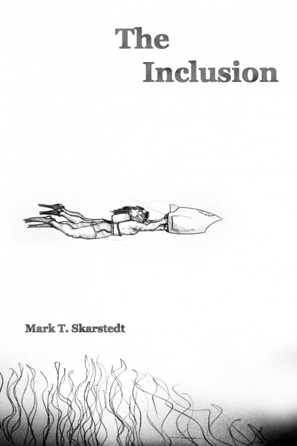 Big bigCover of The Inclusion