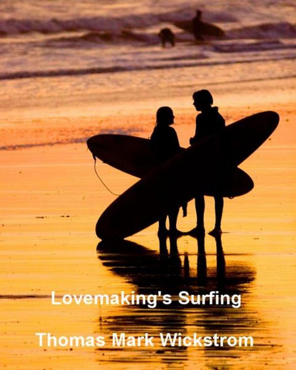 Big bigCover of Lovemaking's Surfing