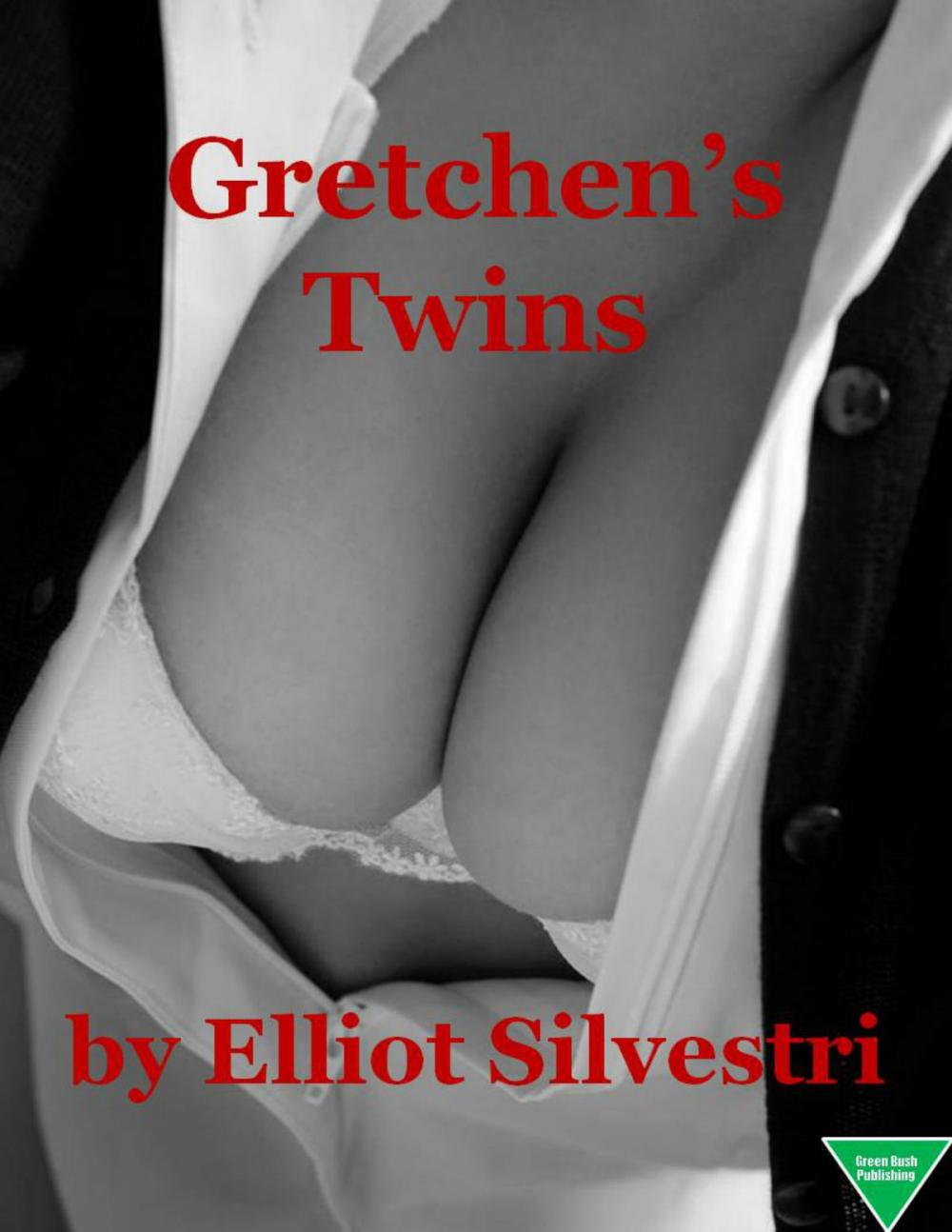 Big bigCover of Gretchen's Twins