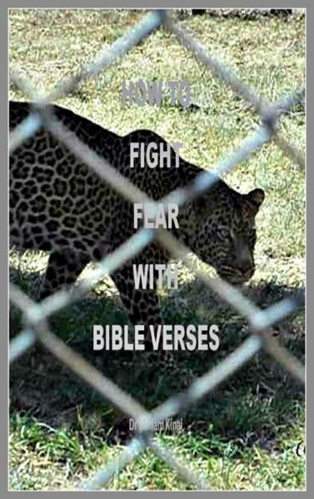 Big bigCover of How to Fight Fear with Bible Verses