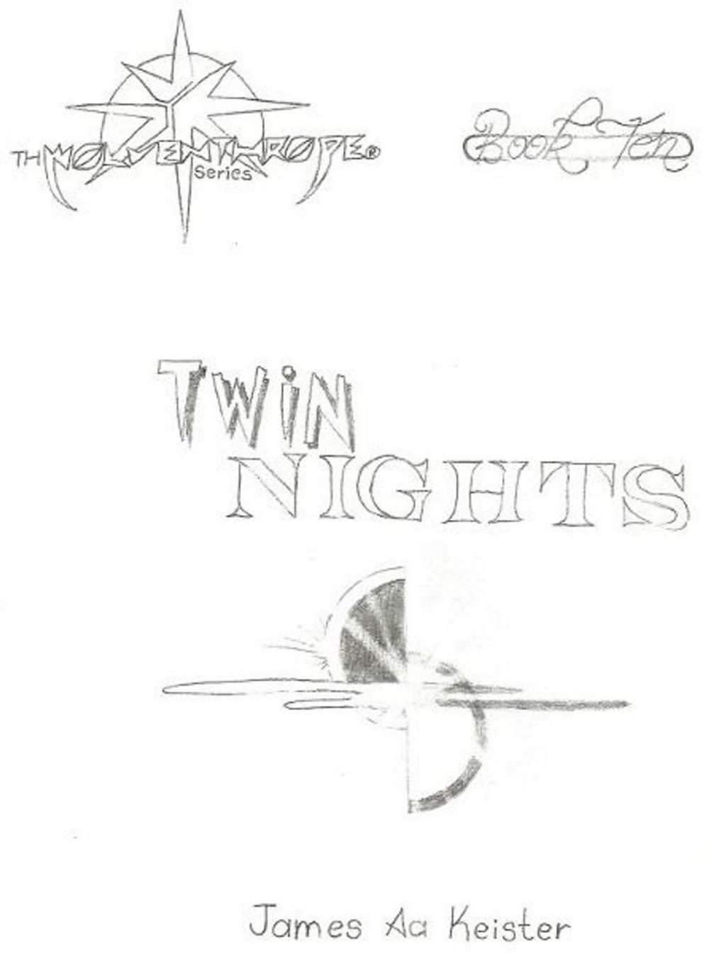 Big bigCover of Twin Nights