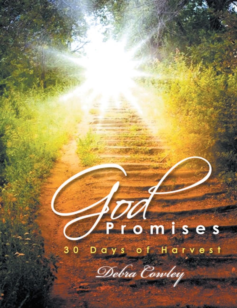 Big bigCover of God Promises 30 Days of Harvest