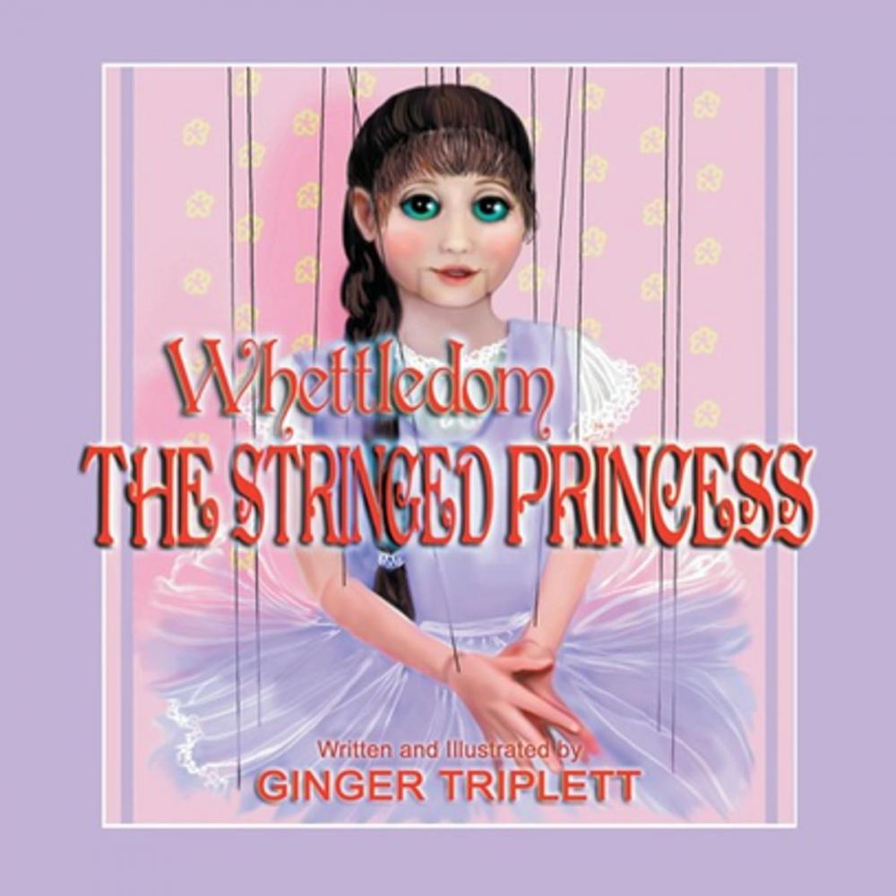 Big bigCover of The Stringed Princess