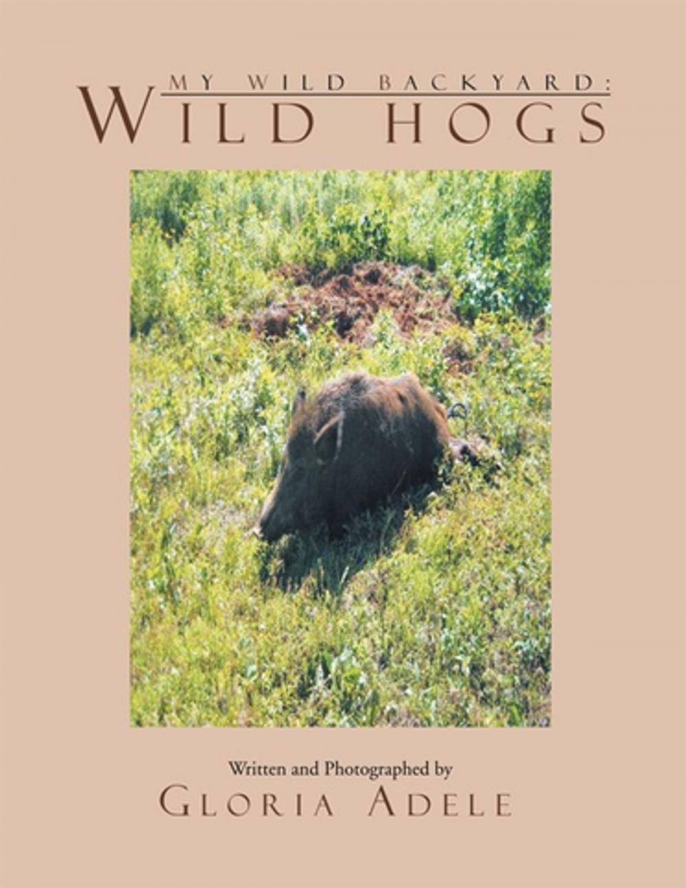 Big bigCover of My Wild Backyard: Wild Hogs