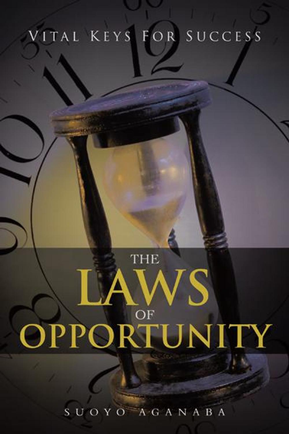 Big bigCover of The Laws of Opportunity