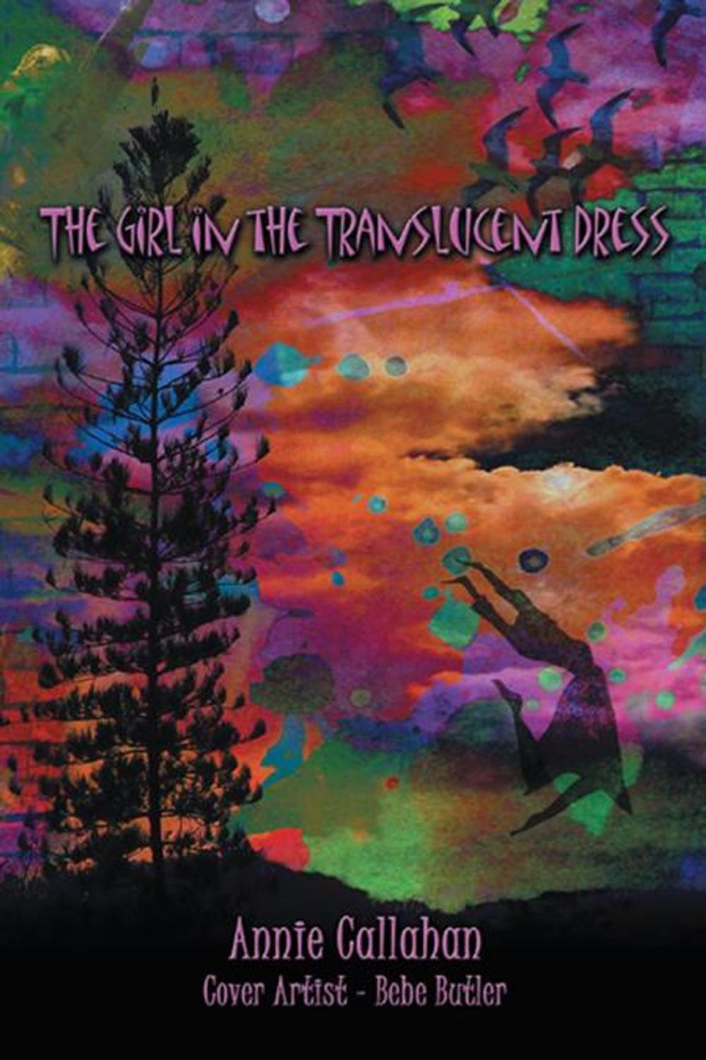 Big bigCover of The Girl in the Translucent Dress