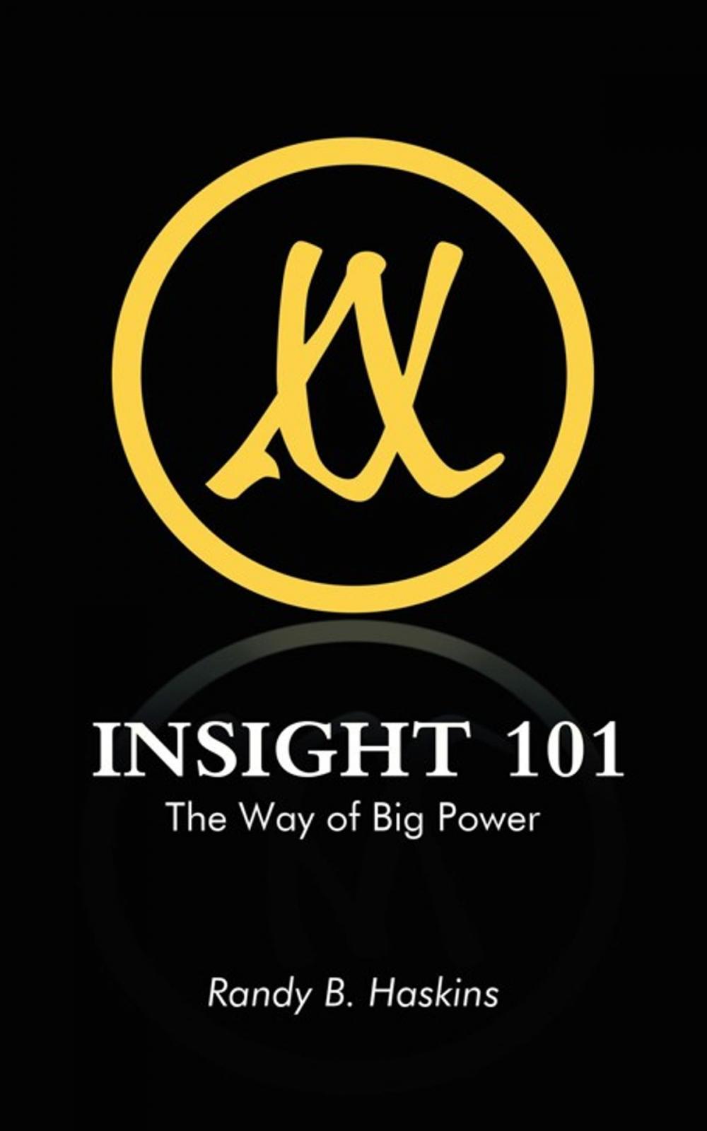 Big bigCover of Insight 101