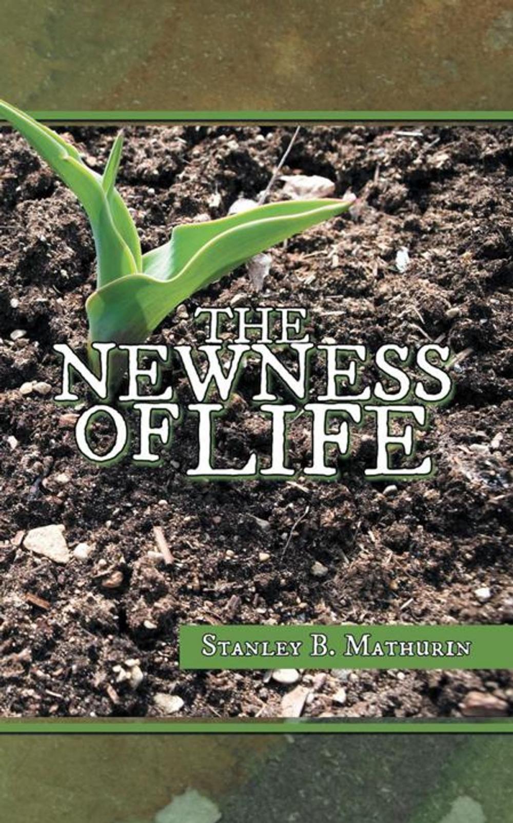 Big bigCover of The Newness of Life