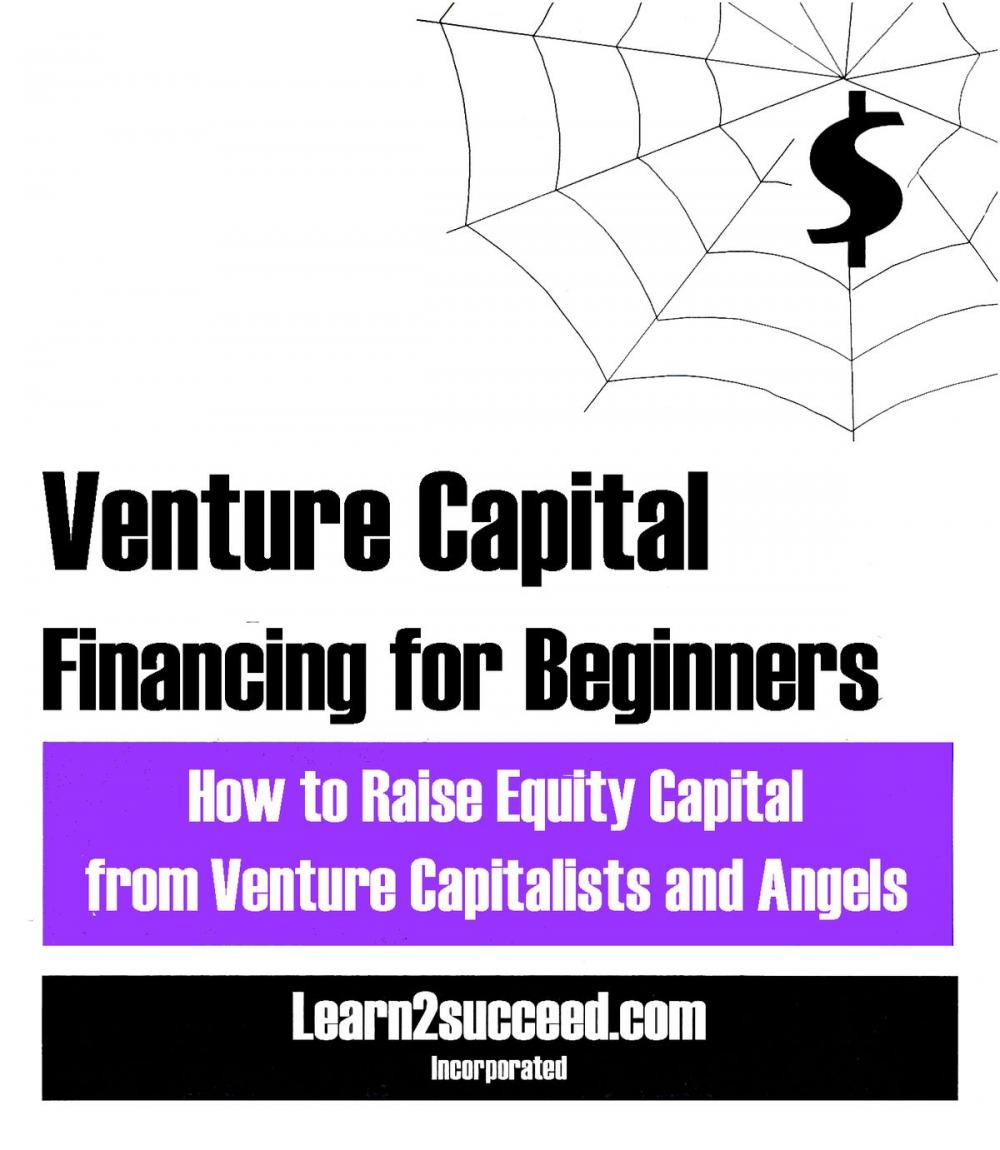 Big bigCover of Venture Capital Financing for Beginners