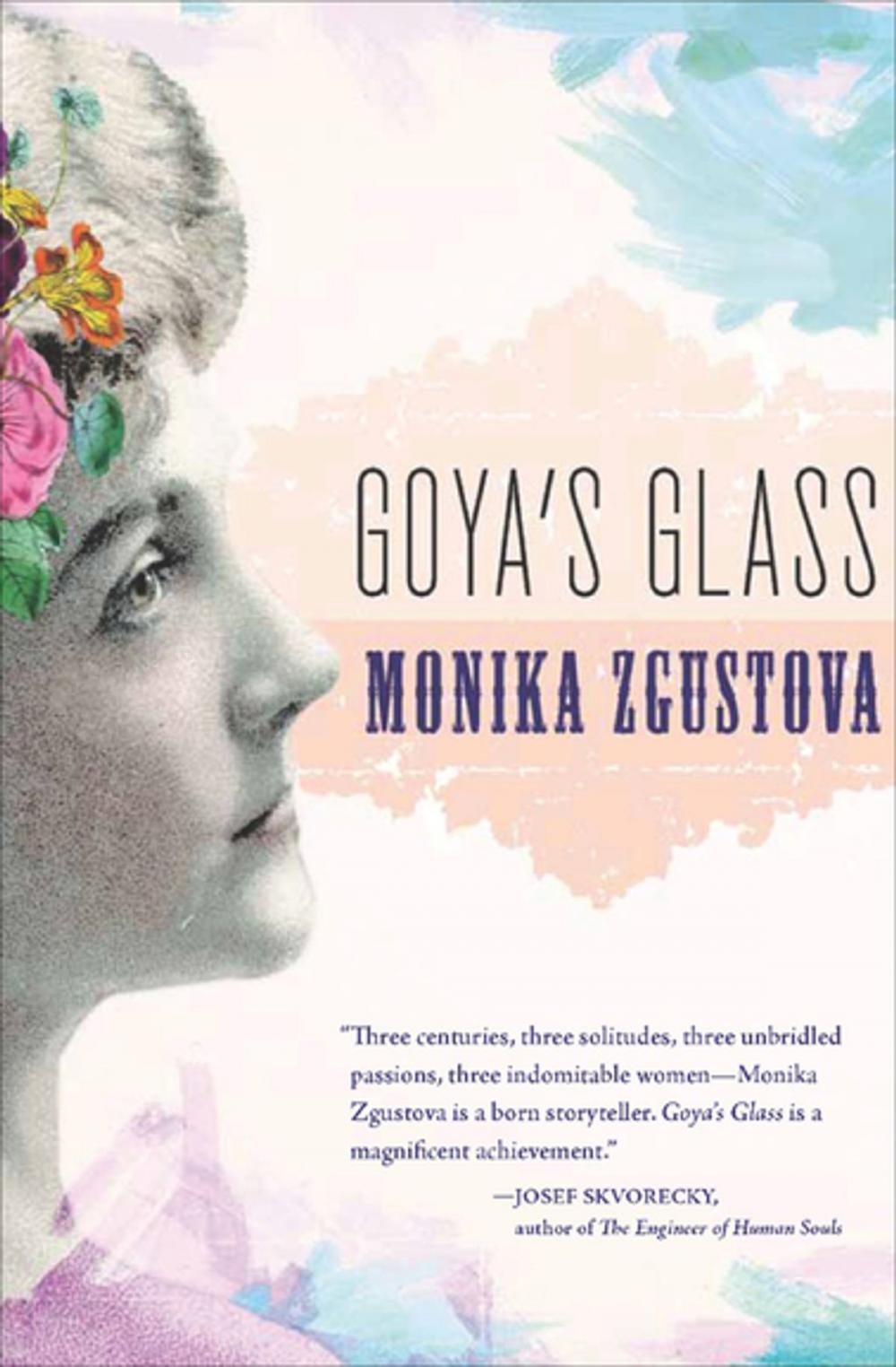 Big bigCover of Goya's Glass