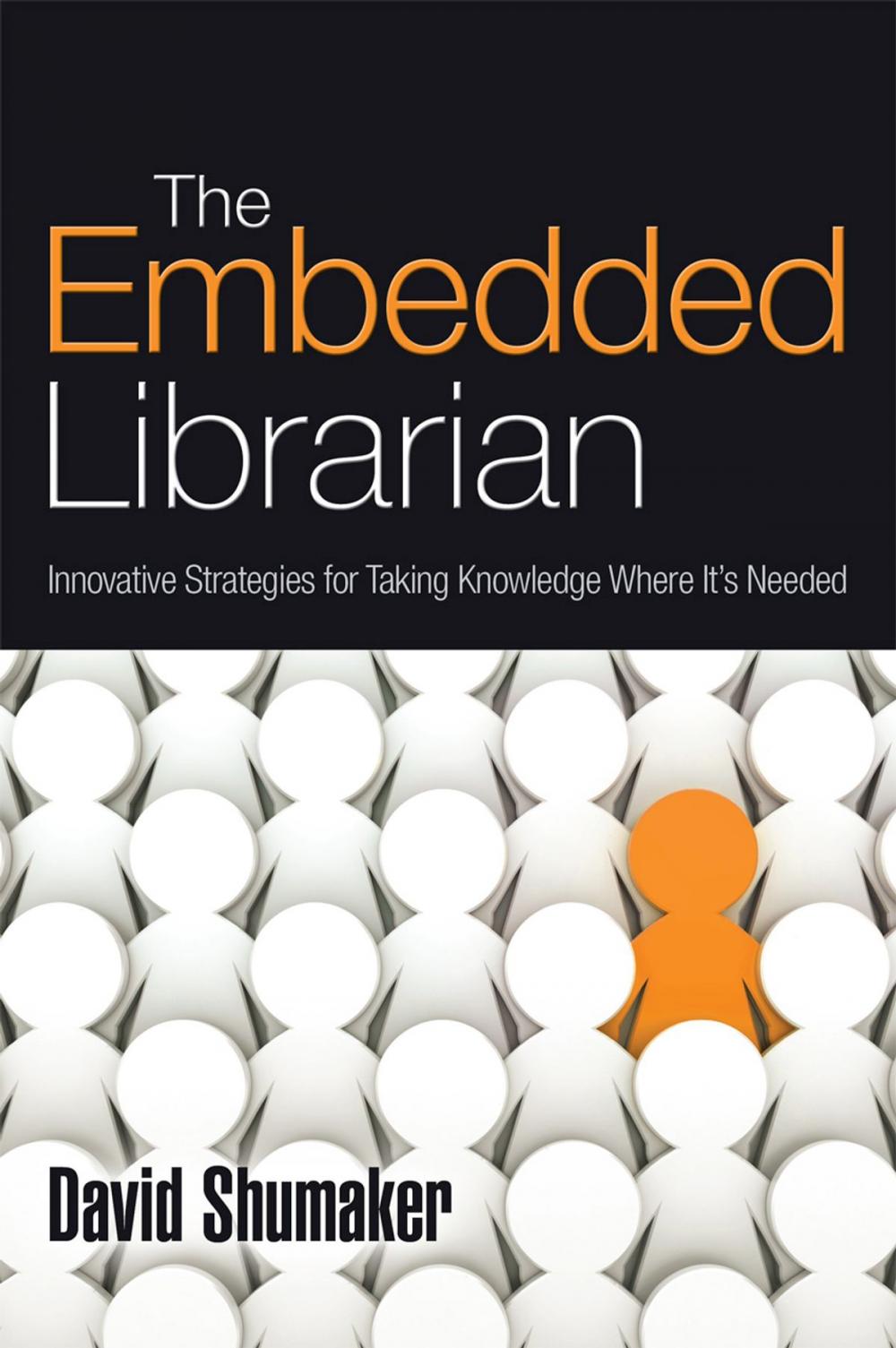 Big bigCover of The Embedded Librarian