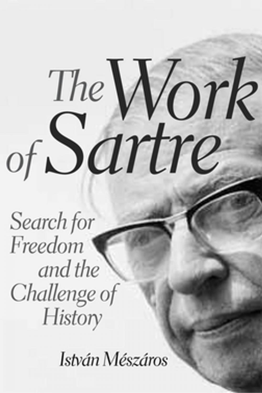 Big bigCover of The Work of Sartre