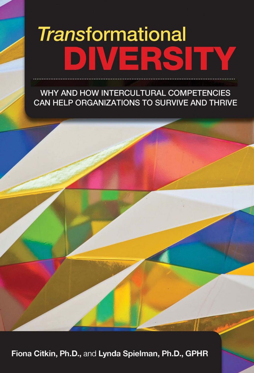 Big bigCover of Transformational Diversity: Why and How Intercultural Competencies Can Help Organizations to Survive and Thrive