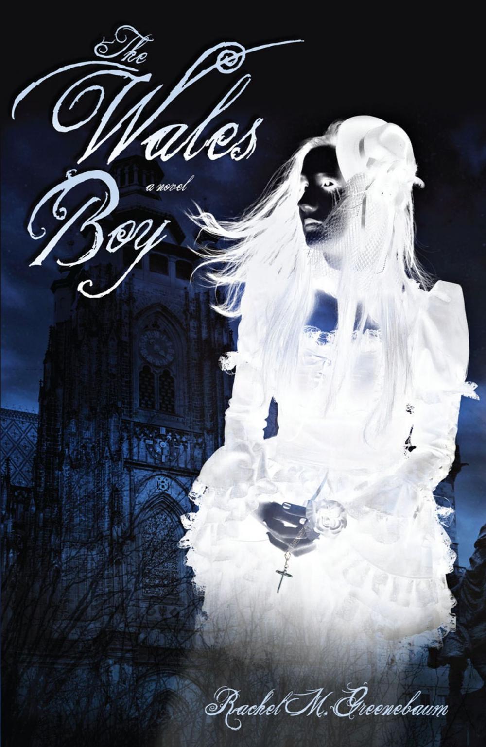 Big bigCover of The Wales Boy