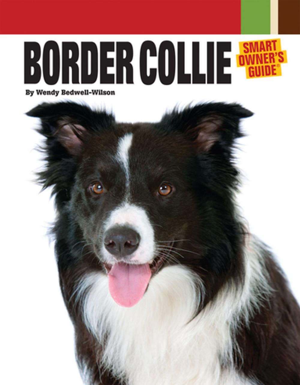 Big bigCover of Border Collie