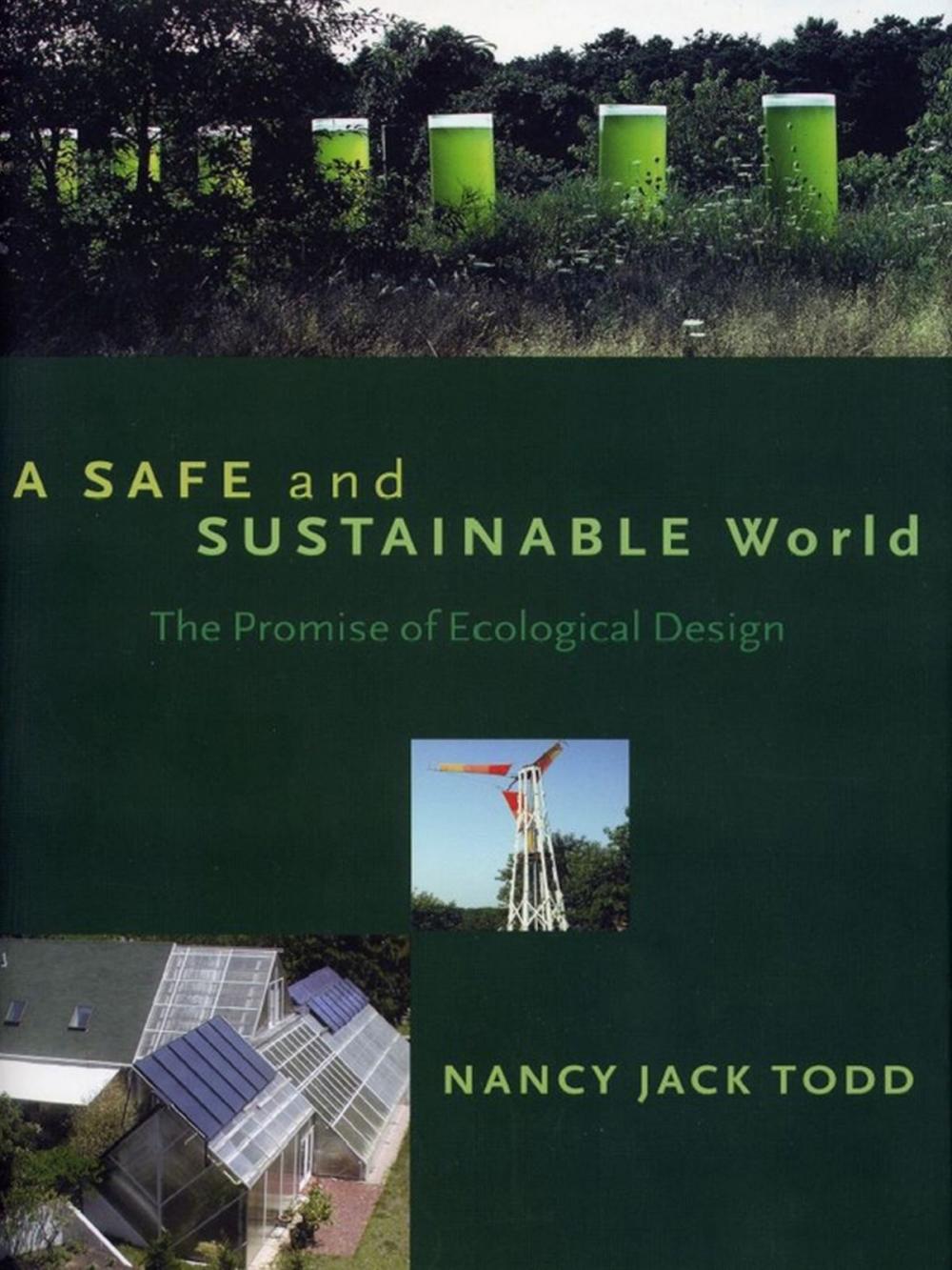 Big bigCover of A Safe and Sustainable World