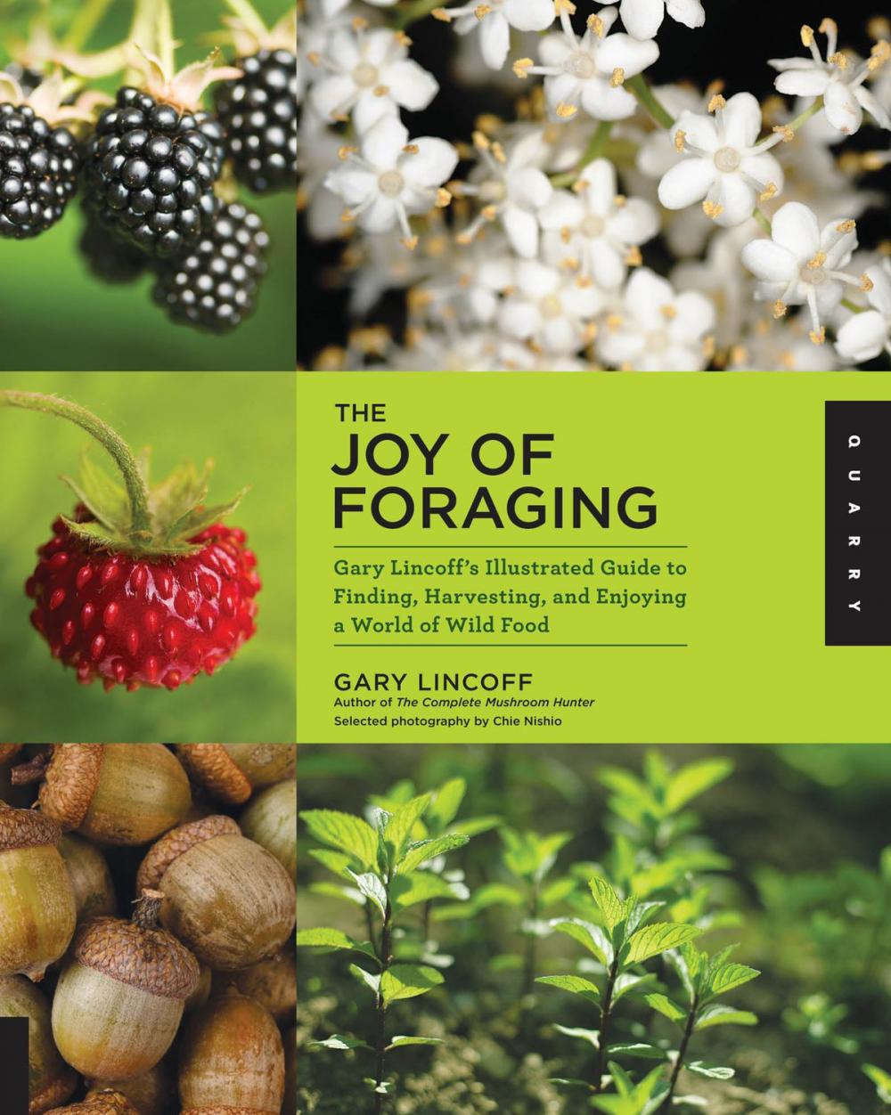 Big bigCover of The Joy of Foraging