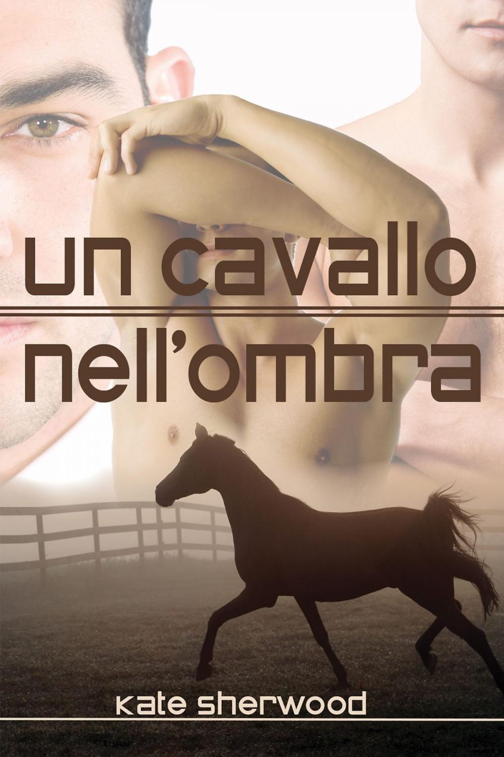 Big bigCover of Un cavallo nell’ombra