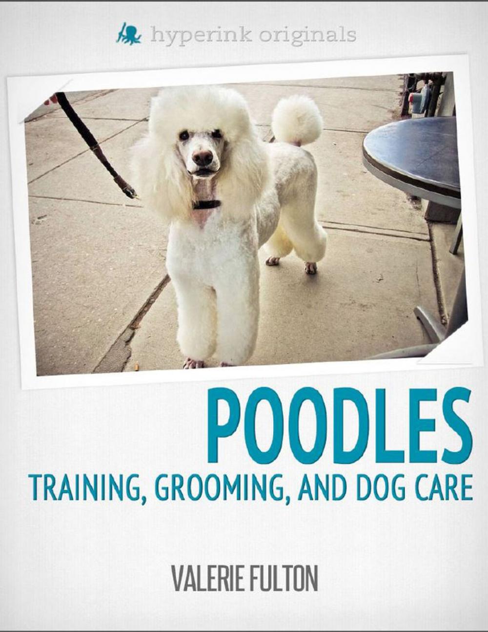 Big bigCover of Poodle: Training, Grooming, and Dog Care