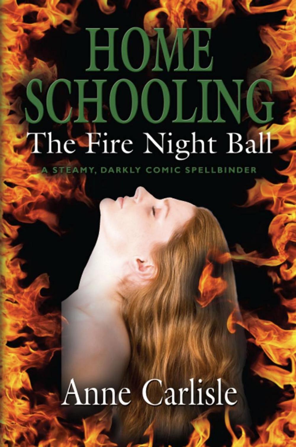 Big bigCover of HOME SCHOOLING: The Fire Night Ball