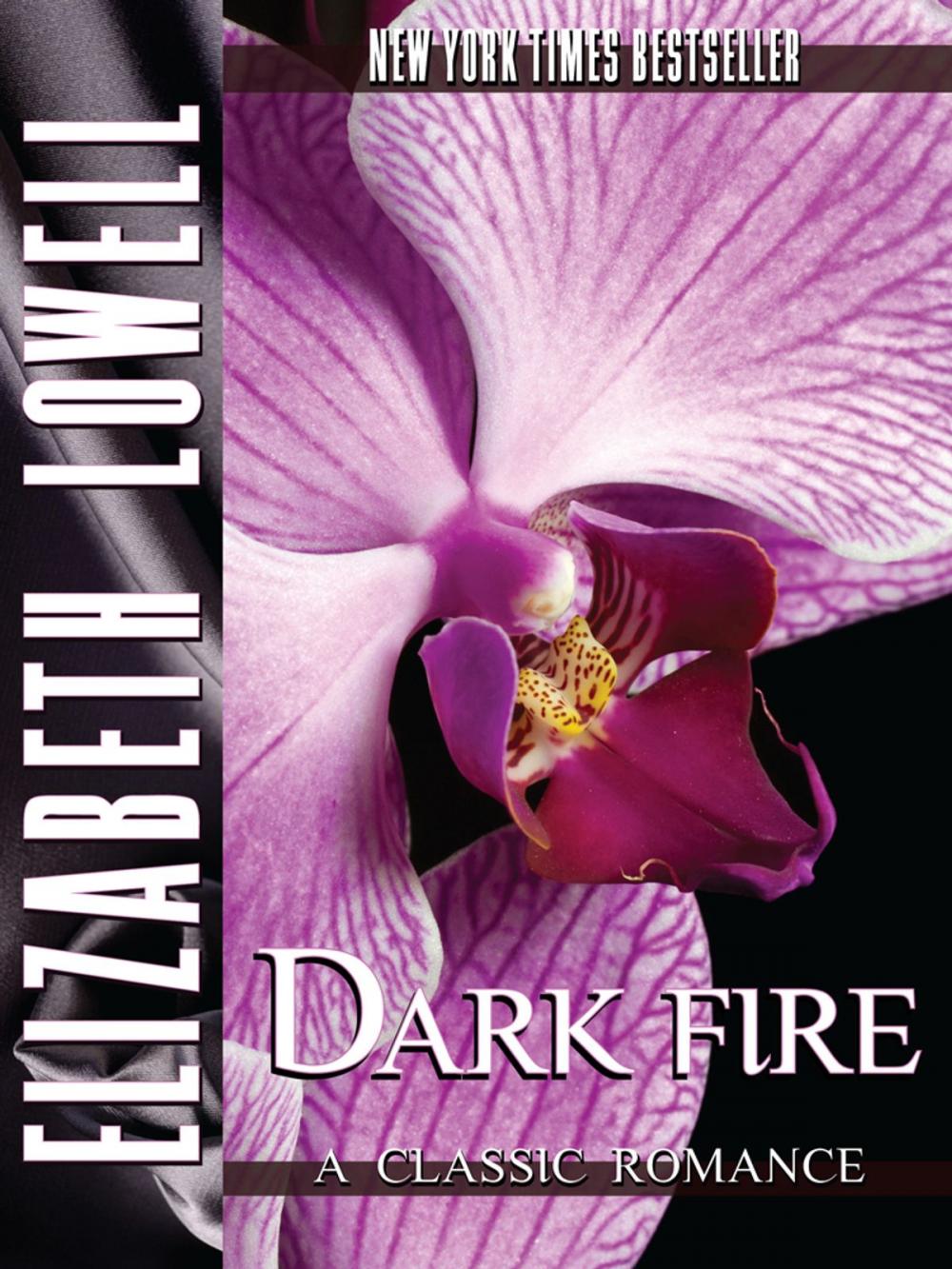 Big bigCover of Dark Fire