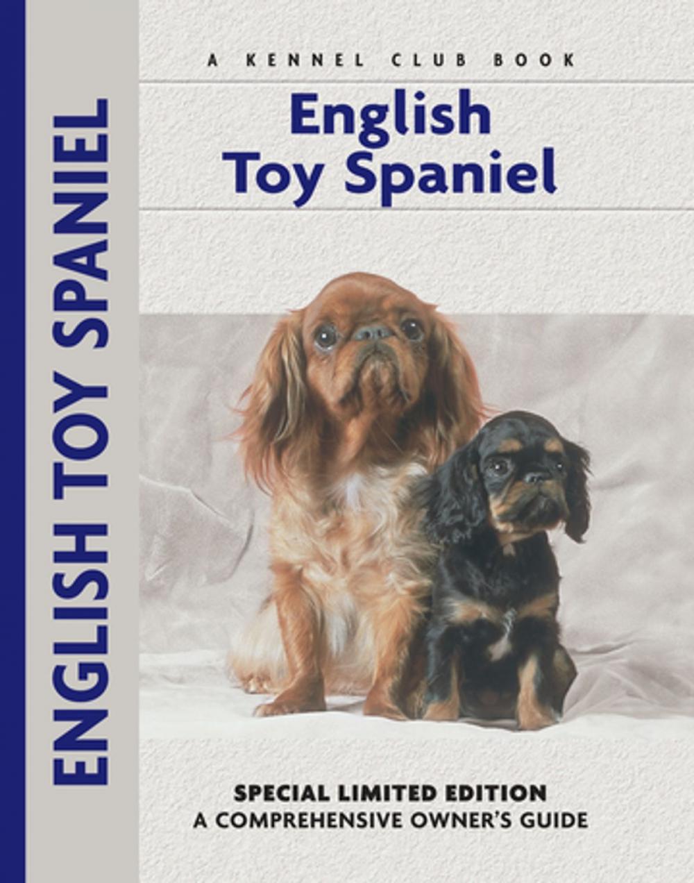 Big bigCover of English Toy Spaniel