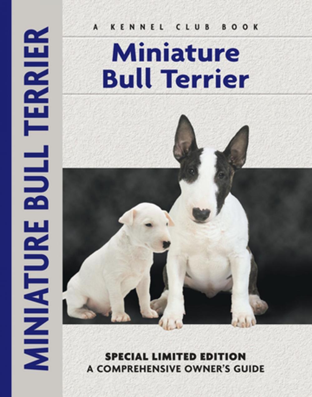 Big bigCover of Miniature Bull Terrier
