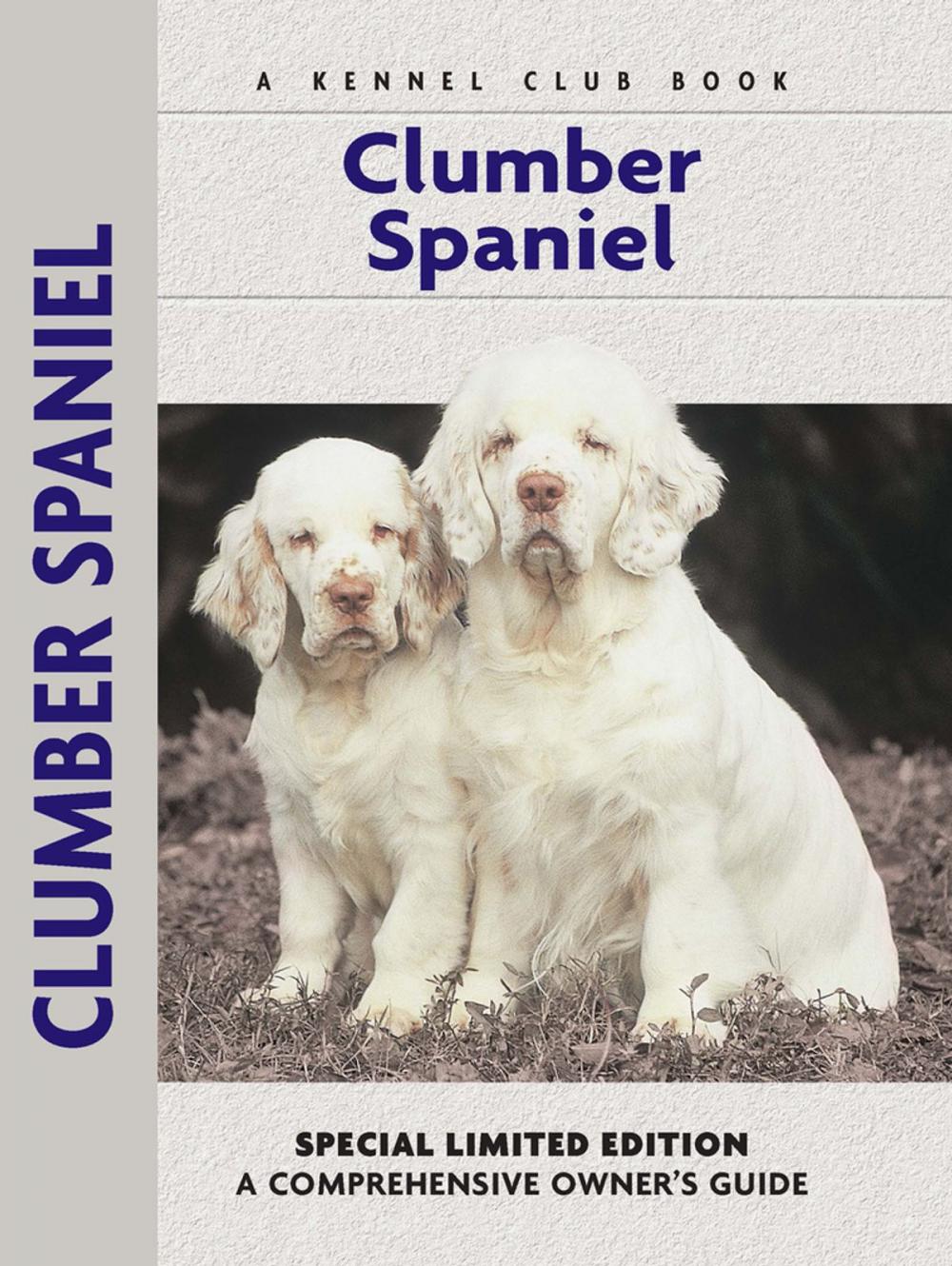 Big bigCover of Clumber Spaniel