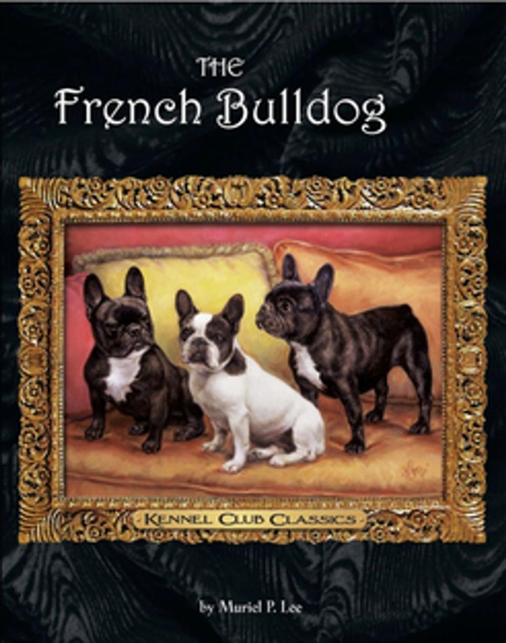 Big bigCover of The French Bulldog