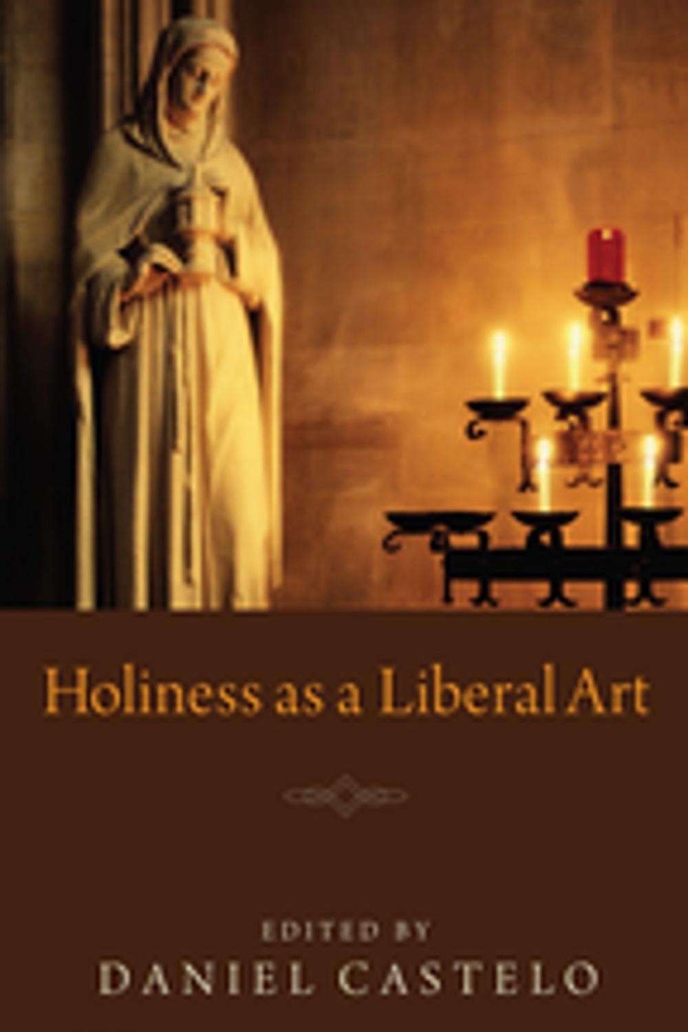 Big bigCover of Holiness as a Liberal Art