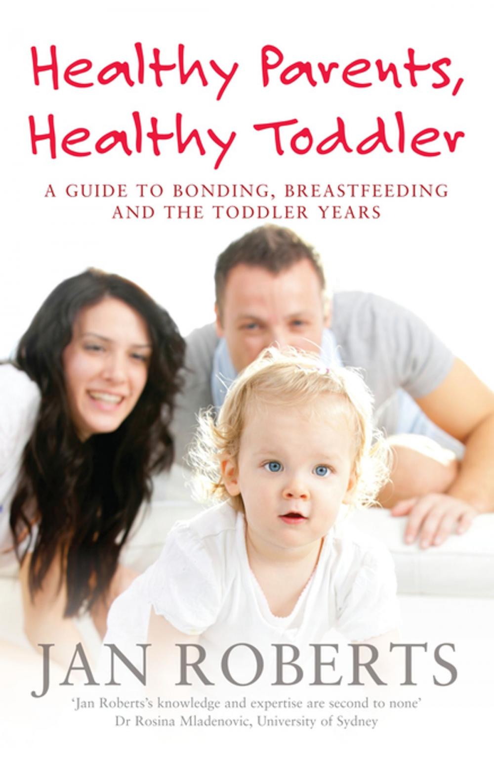 Big bigCover of Healthy Parents, Healthy Toddler: A Guide to Bonding, Breast Feeding and the Toddler Years