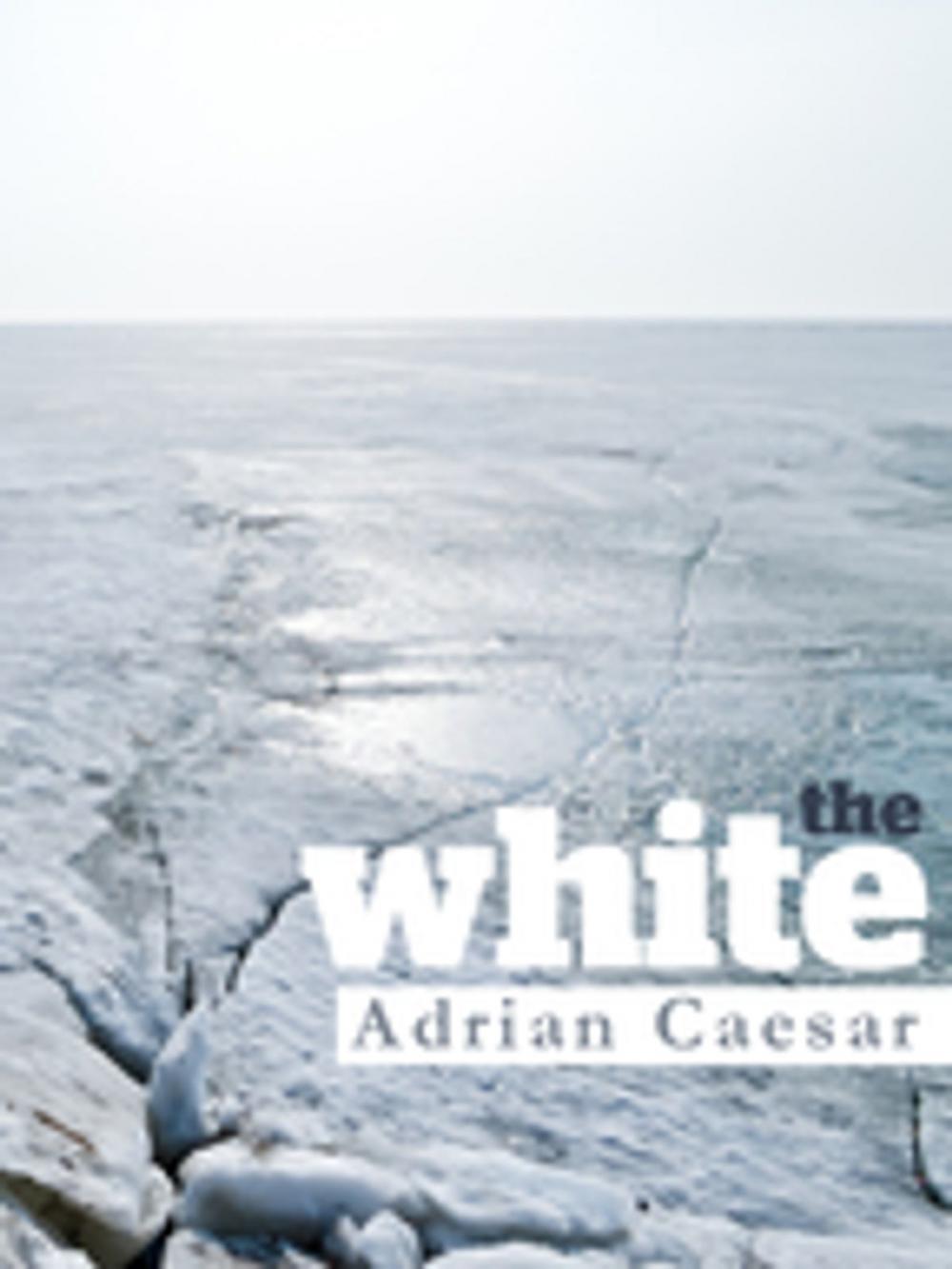 Big bigCover of The White